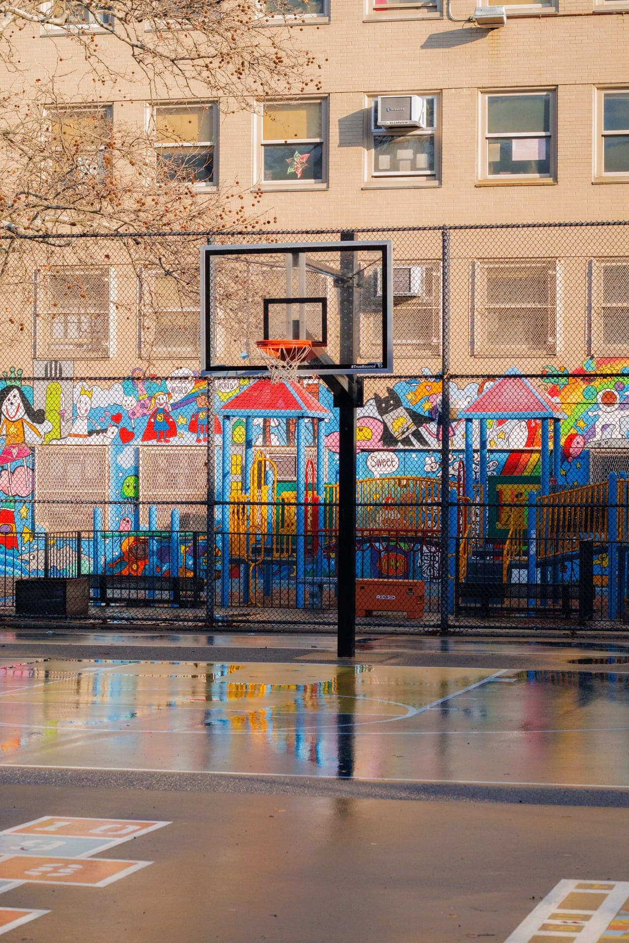 Okul bahçesinde basketbol potası