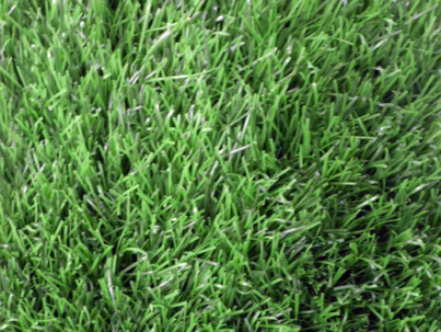 first-grass